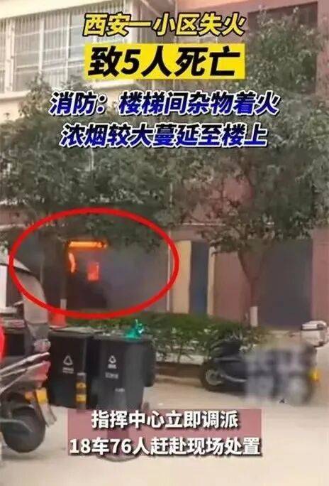 金年会- 金年会体育- 官网APP小区楼道堆放杂物的安全隐患及法律责任（附条文）