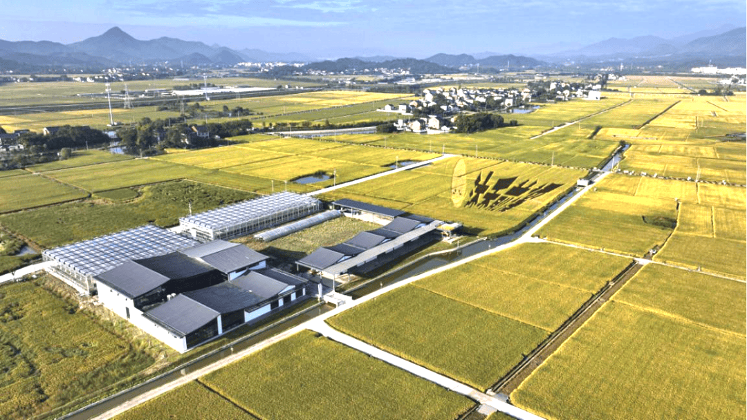 科技赋能,沃野生金:探访余杭径山镇前溪村高标准农田共富实践区丨智绘新农_农业_项目_融合