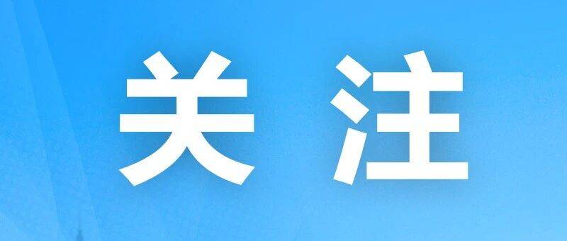 我国网民规模达11.25亿人 互联网普及率突破80%