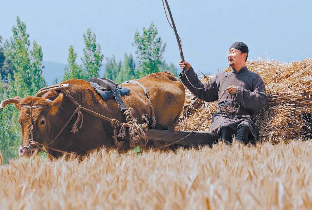 年轻观众闻到镜头里的泥土香气