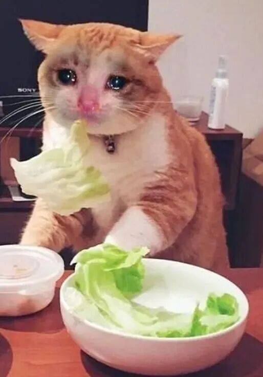 健康科普丨思路打开！减重人的三餐搭配公式来了