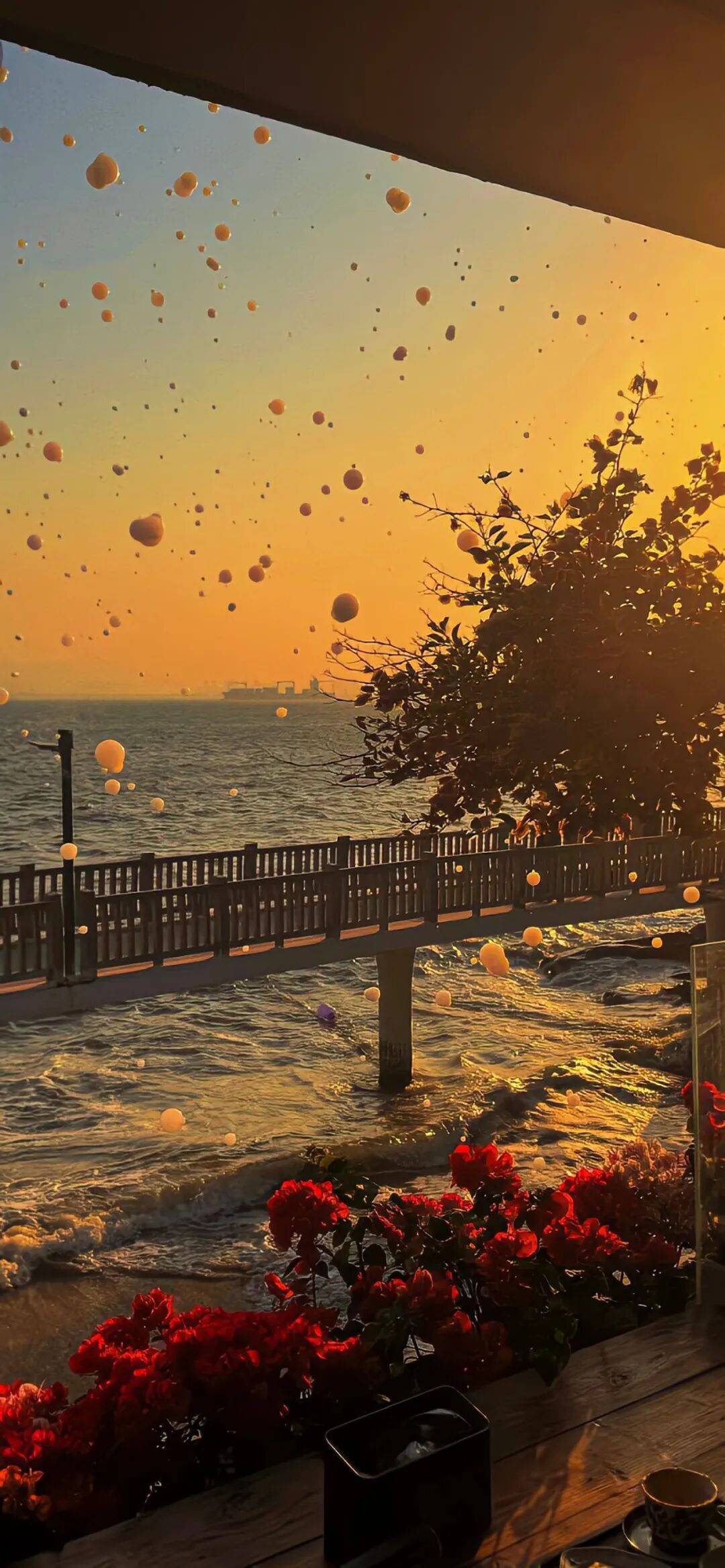 壁纸|好看的壁纸