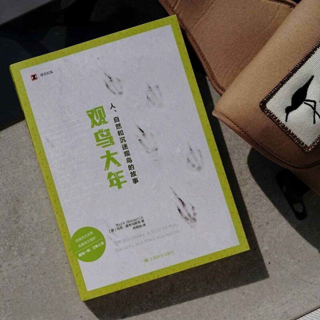 新书|《观鸟大年》：为了看鸟你能有多疯狂