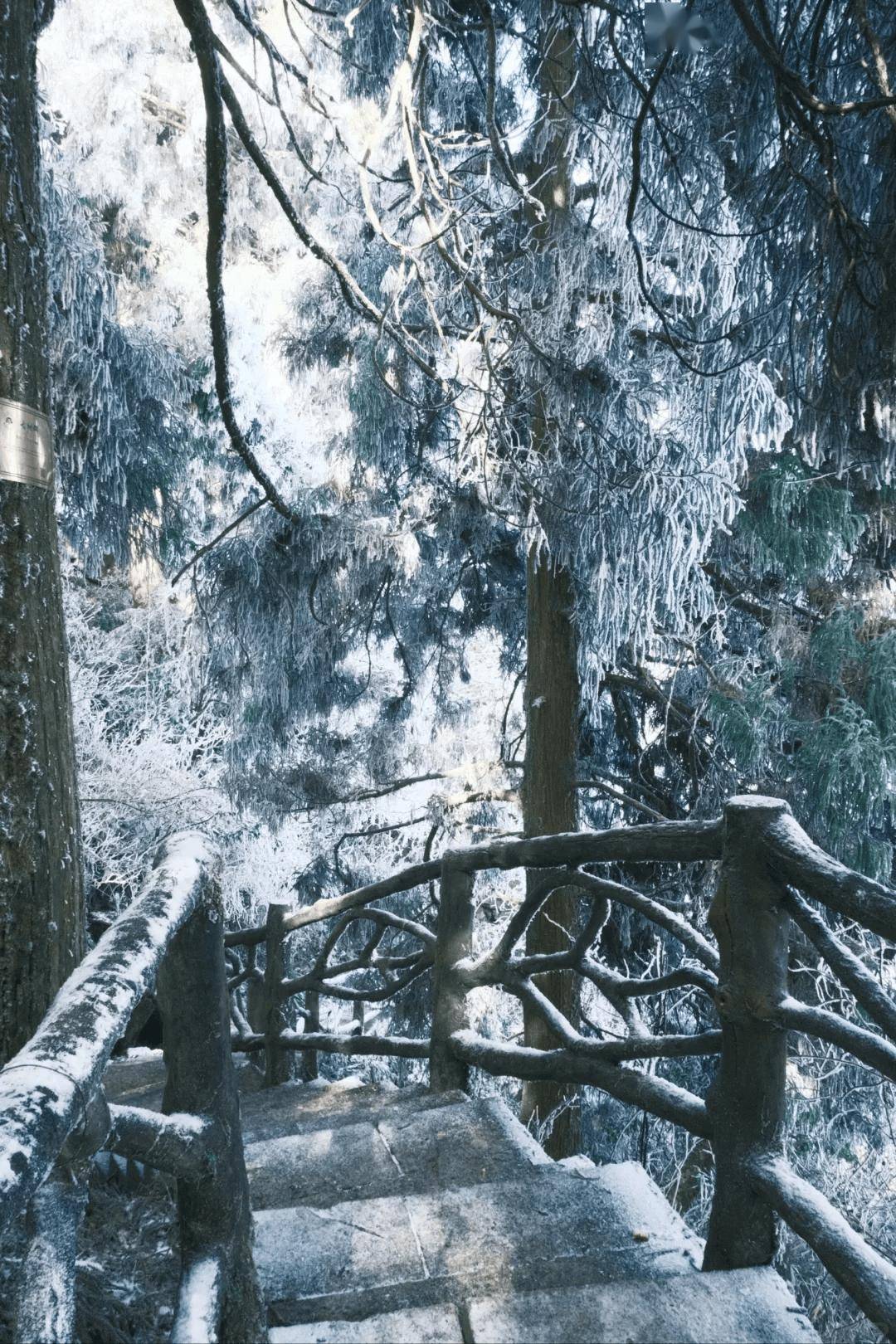 挖到家门口的真温泉泡汤滑雪美食样样王炸关键人少又便宜躲人流