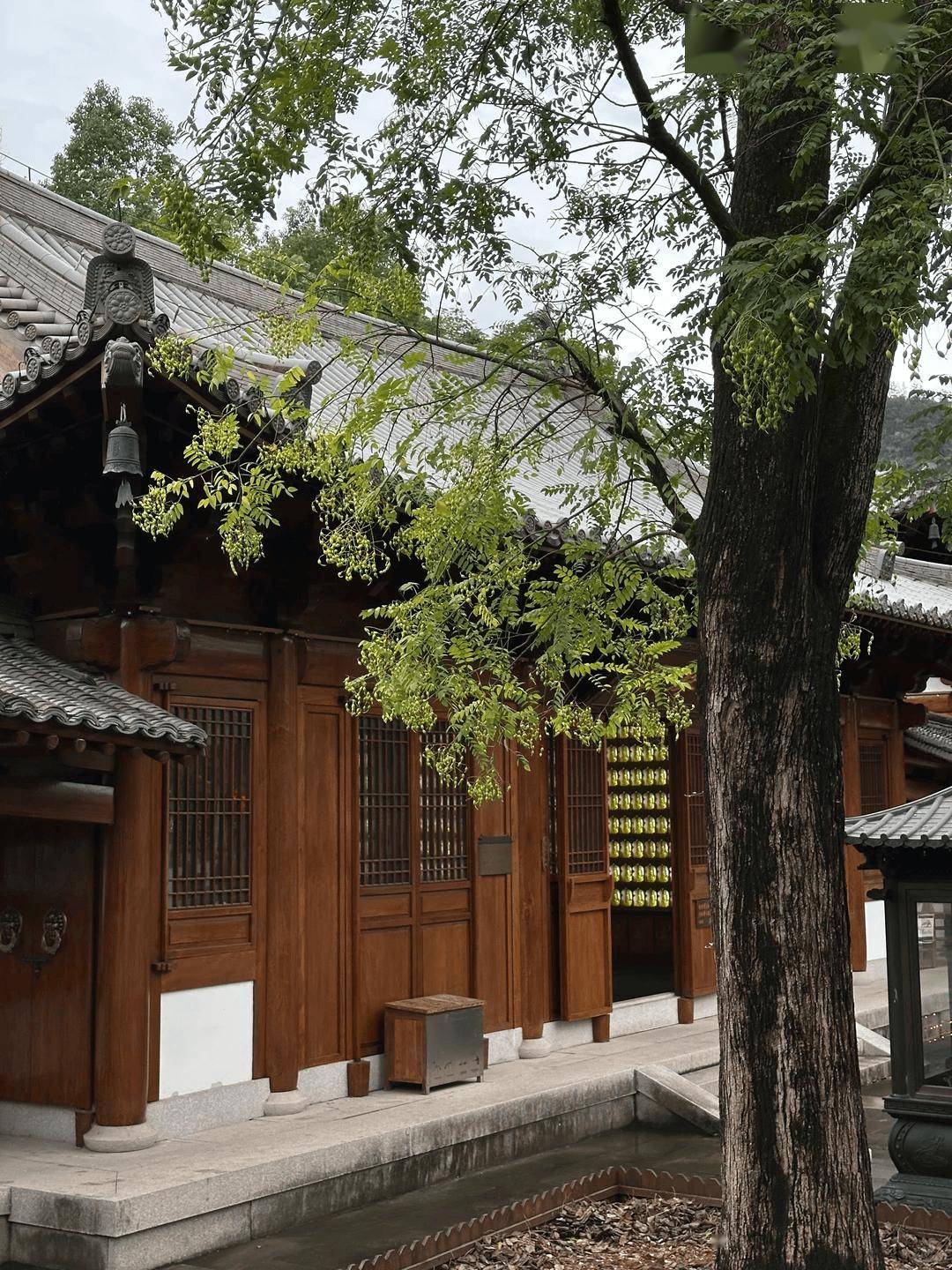 漫步于古寺可见菩提婆沙古柏流翠古色古香的木构建筑岿然屹立时间