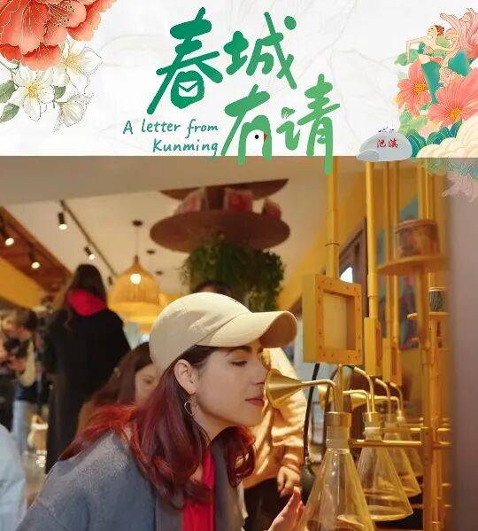 “春城有请”引全球倾心 昆明魅力何以圈粉世界_城市_气候_云南