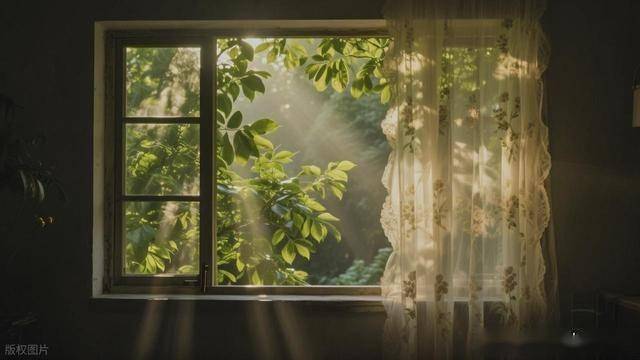 天生自带领导气场，适合当老大的三个星座！