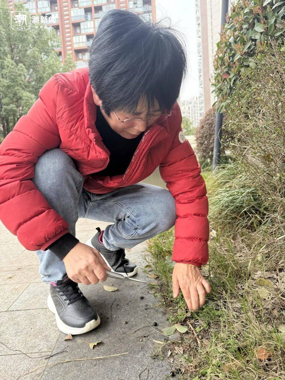 挖了半天全白挖！杭州网友晒“假荠菜”：长得很像吃起来不对味！专家教你一眼分辨