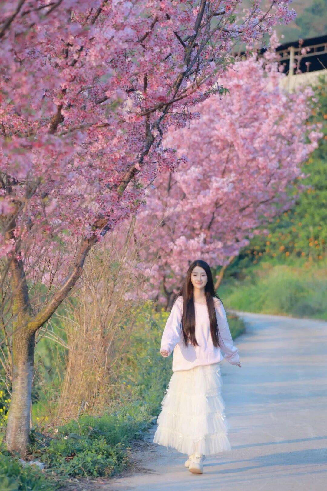 这份广西高铁赏花地图请立即收藏