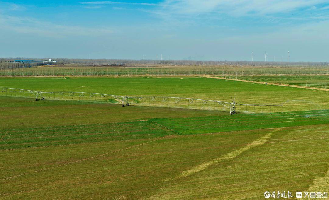 山东乐陵：科技赋能春耕春管