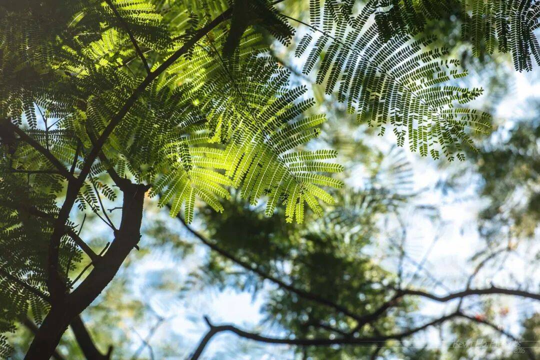 图片[2]-拍完这张照片，才算真正进入春天-华闻时空