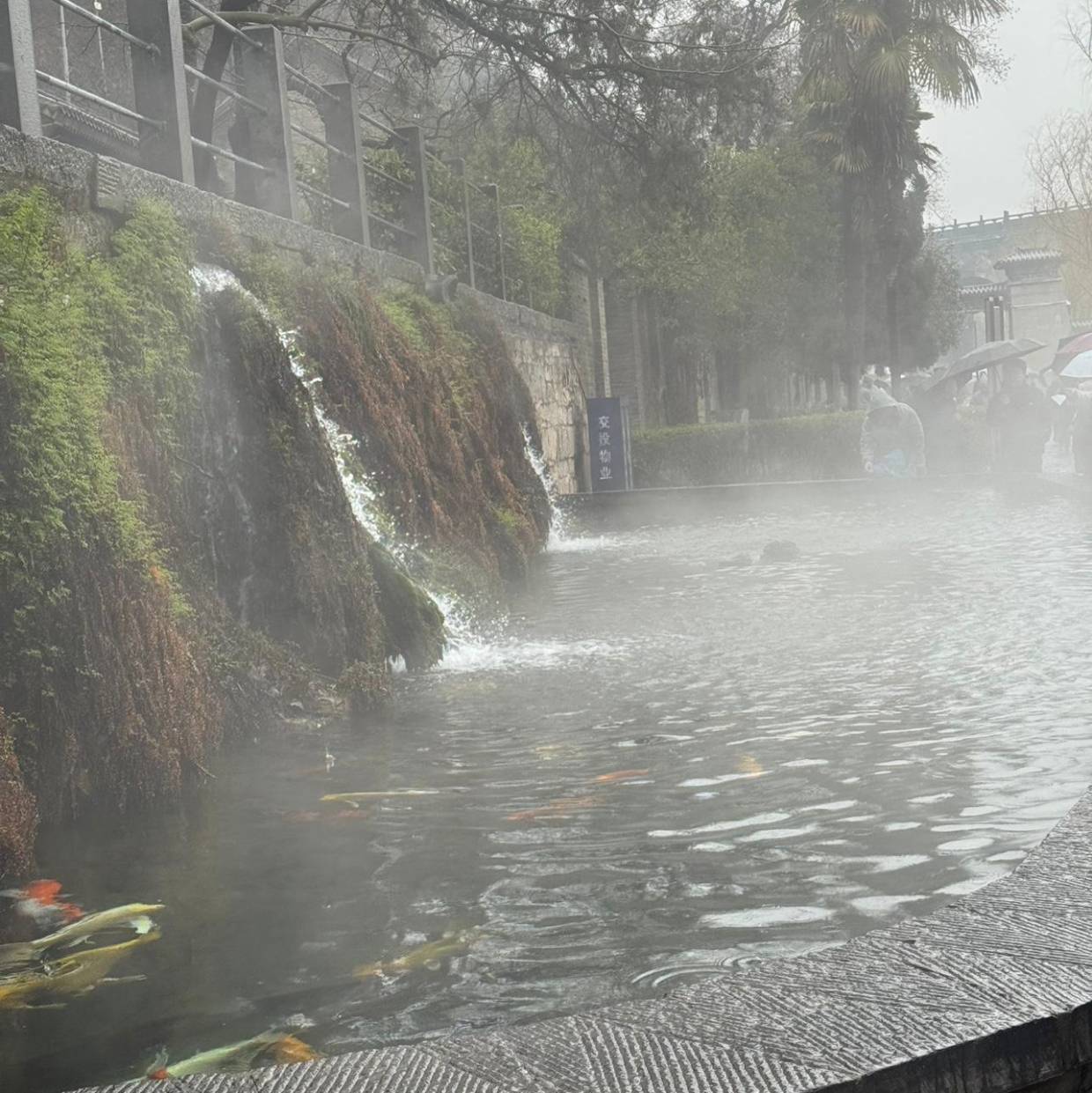 2026 黑龙江 ETC 注销完整流程（线上 + 线下）_搜狐汽车_搜狐网