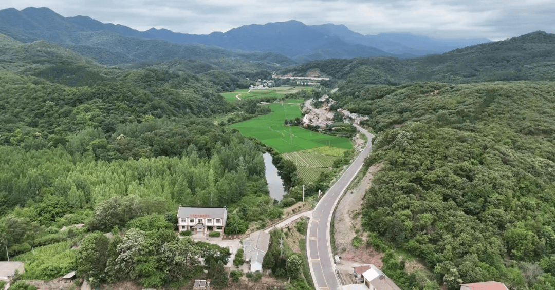 【荆社善治】党建引领聚合力 基层治理焕新颜——京山市绿林镇双桥村探索“三位一体”自治新模式_群众_议事会