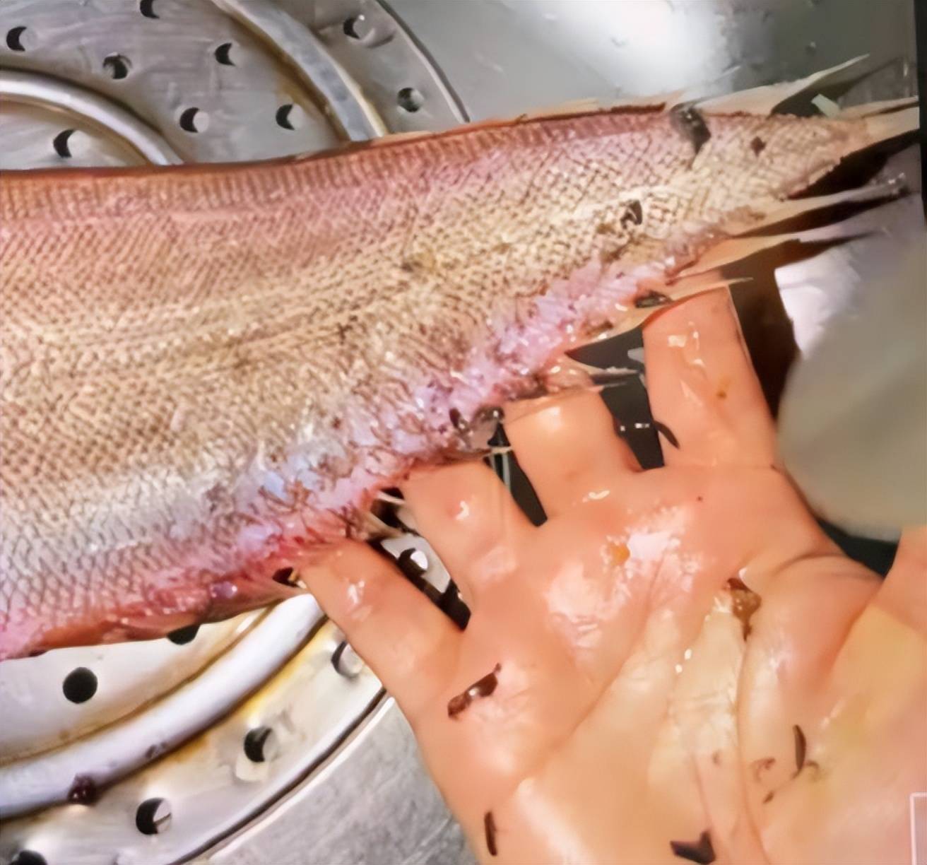 女子仅退款海鲜后续身份被扒是惯犯业户曝更多黑料果不简单