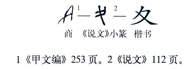 《说文解字》第1134课:“夊”与“夂”的字形区别_本义_小篆_行走