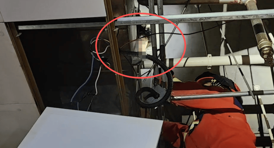 医院卫生间天花板内传来动静，打开一看竟藏了个人！
