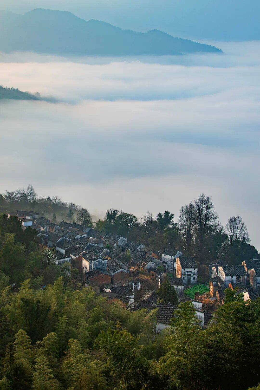图片[2]-被改名耽误的城市，一到春天就美得藏不住了-华闻时空