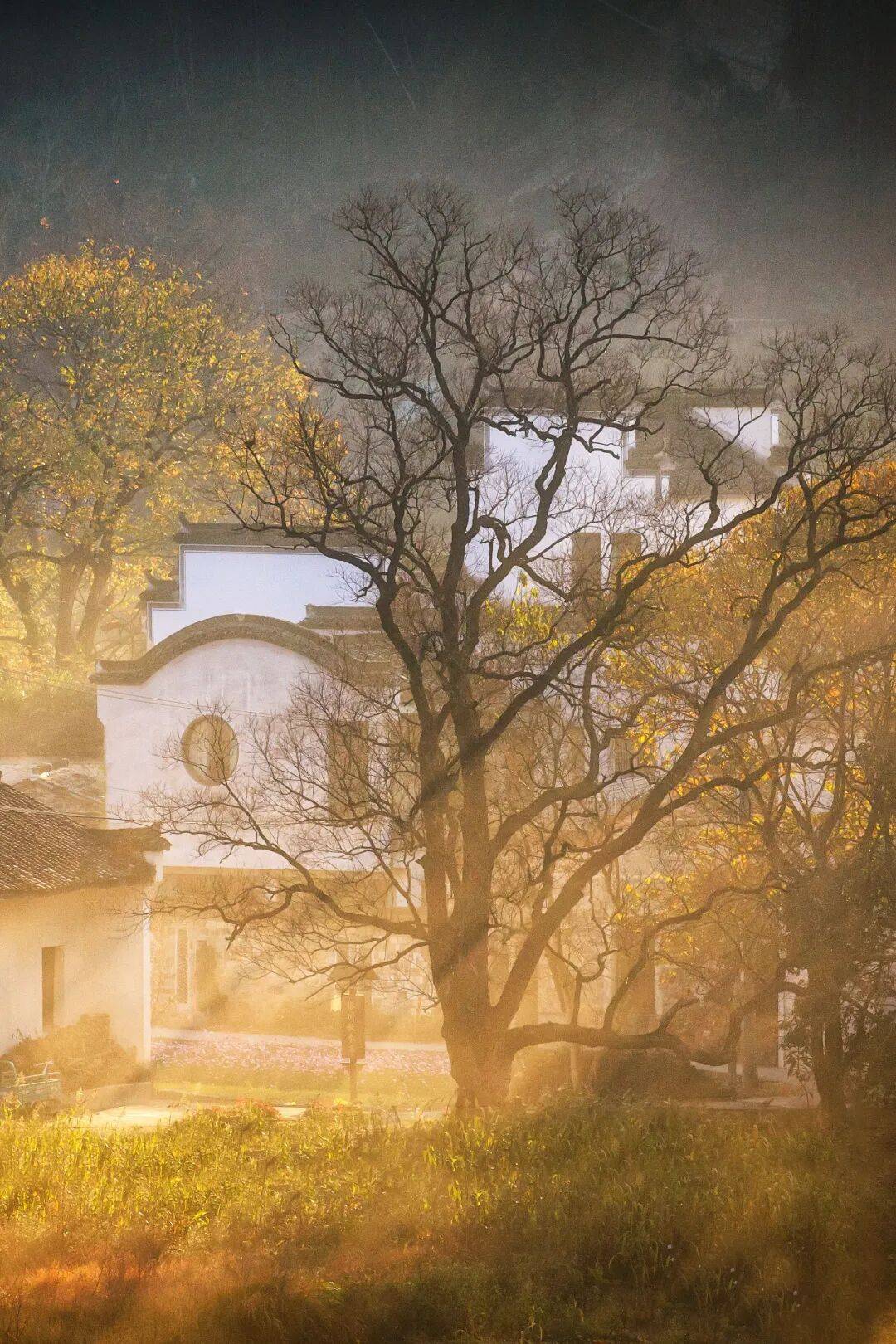 图片[5]-被改名耽误的城市，一到春天就美得藏不住了-华闻时空