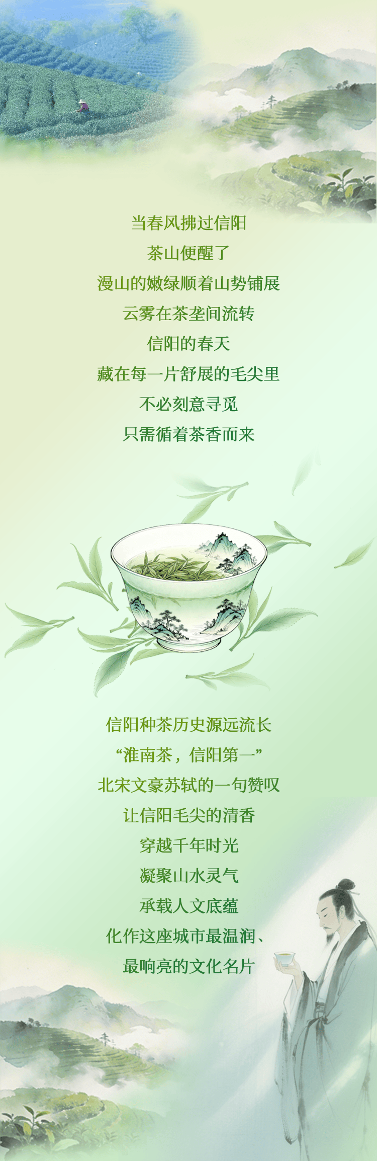 春日来信 茶乡有约|品茗信阳,一盏毛尖知春意_余晨_罗宇凡_郑烨