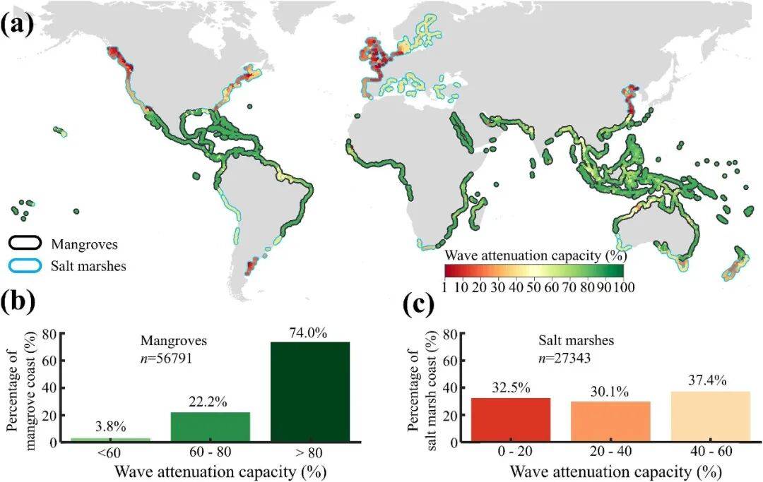 海院科研动态(157)| Science Bulletin:气候变化改变全球滨海湿地消浪防护效能_波高_衰减_海岸带