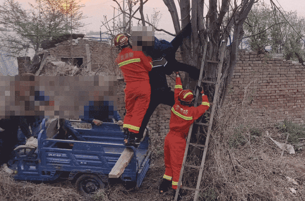 北京一男子夜晚爬树摘香椿掉落被卡，次日清晨才被发现，肢体受压、倒挂悬空达7个多小时……
