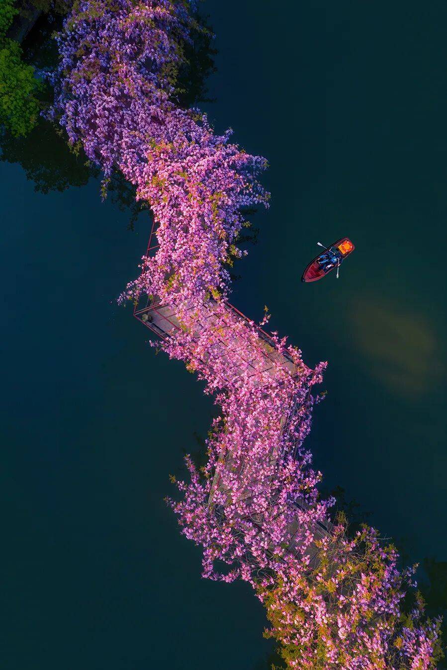 图片[15]-这个富可敌国的小镇，凭什么成为江南的“文化心脏”？-华闻时空