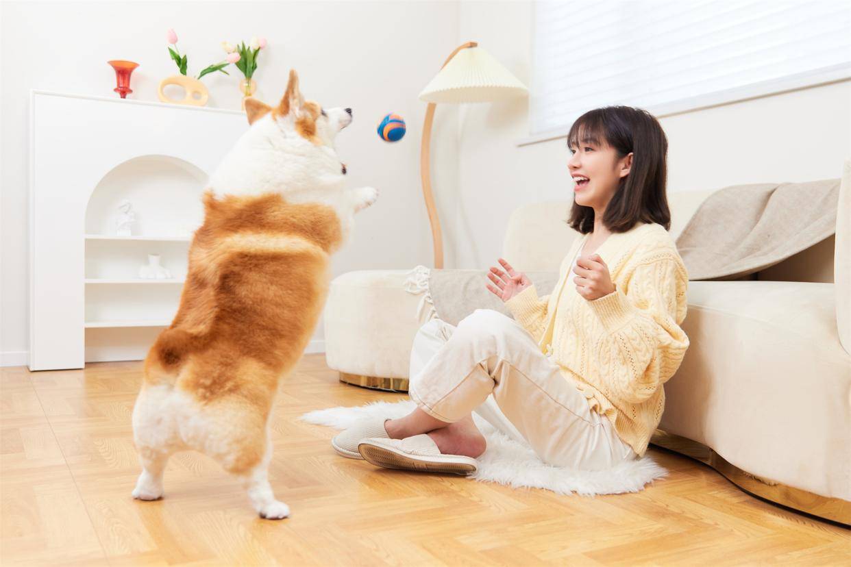 当"非遗"沦为直播间