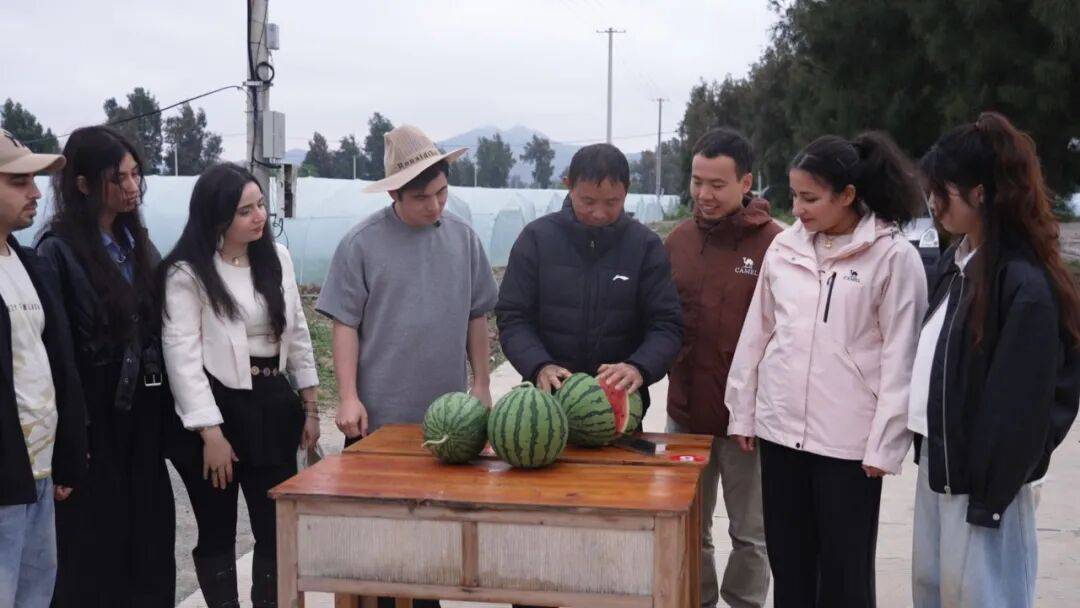 头茬黄琅西瓜熟了!不只是“吃瓜”这么简单