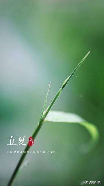 一斤等于10只鸡，建议立夏多吃，1清热，2增免疫，3清补不上火！