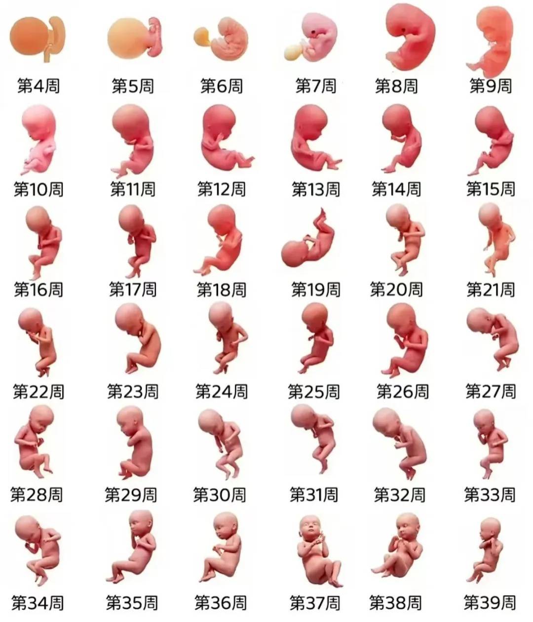 女子测出怀孕，子宫内外却找不到宝宝，医生一查：危险！