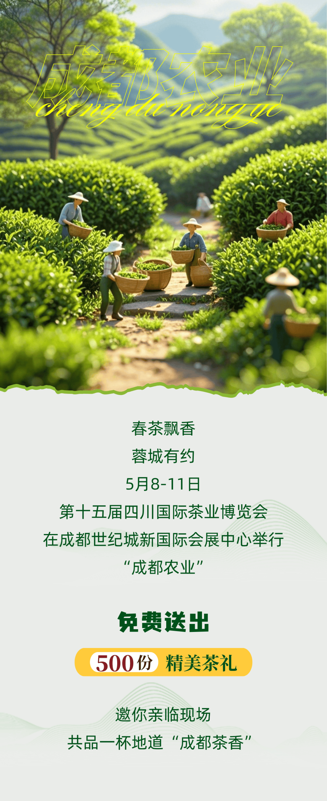 500份好礼免费拿！茶博会成都馆请你喝茶