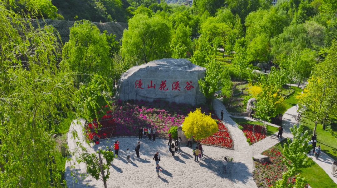 文章配图-8