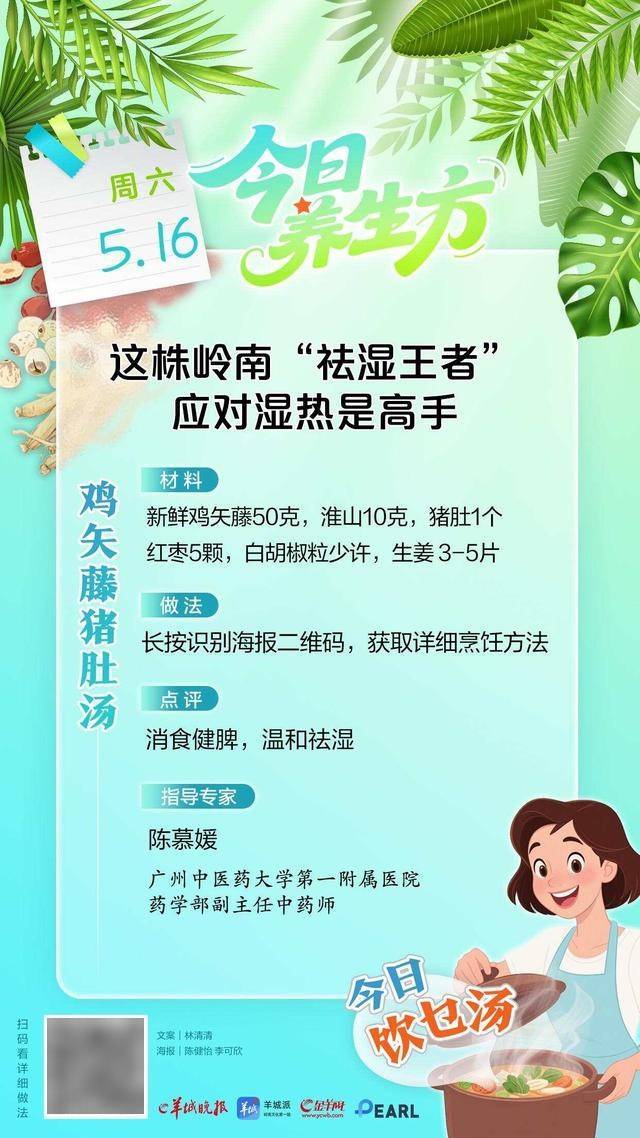 这株岭南“祛湿王者”，是理脾胃、应对湿热的高手｜今日养生方