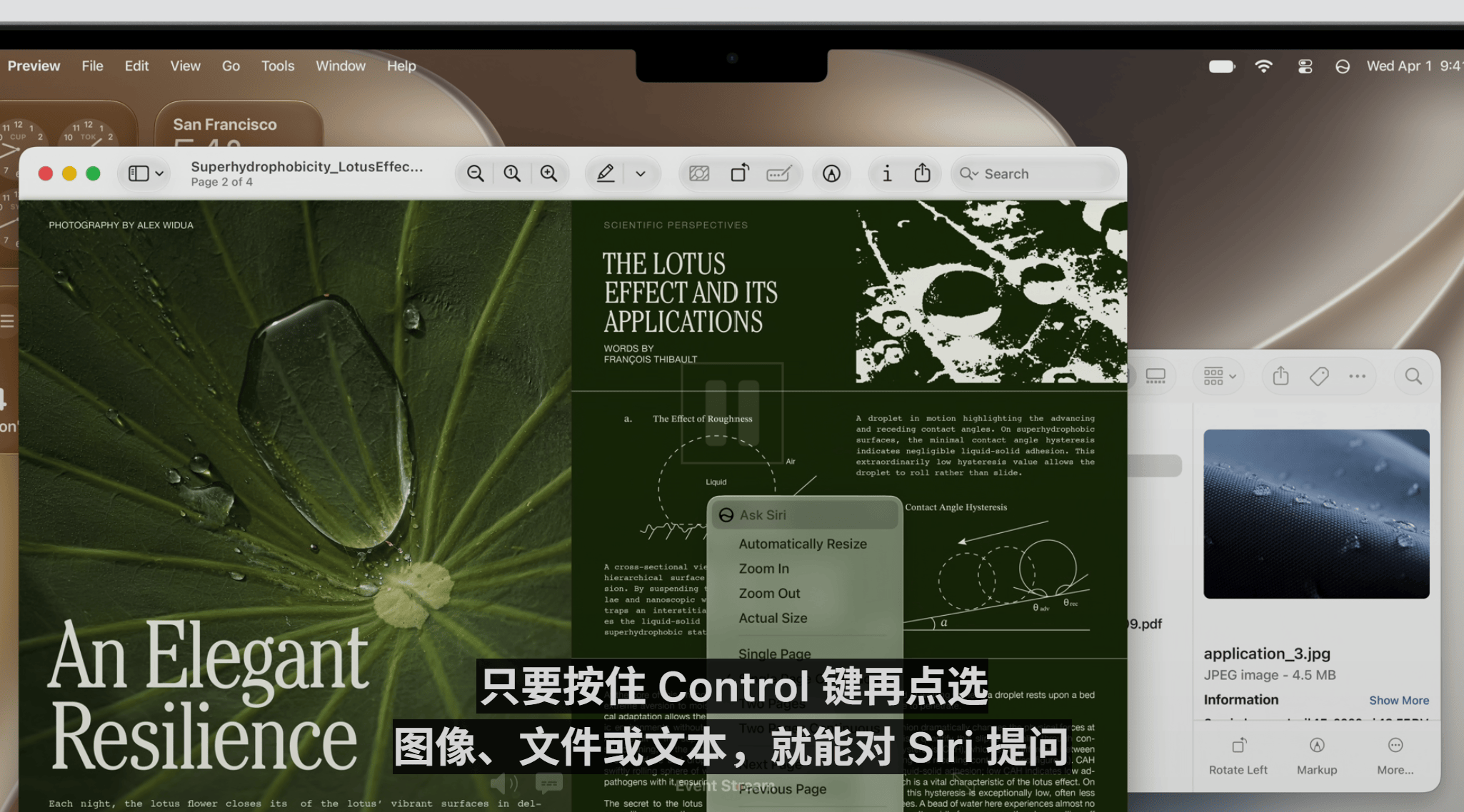 文章配图-4
