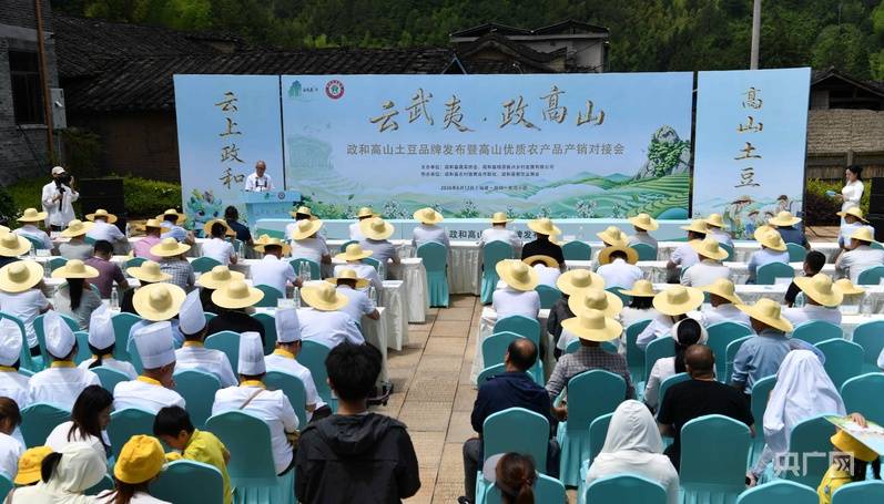 让小土豆成“金豆豆” 政和高山土豆品牌发布