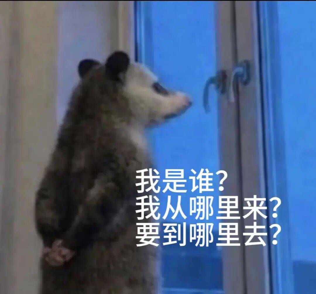 新书上市|智慧宫040《疯癫哲学》