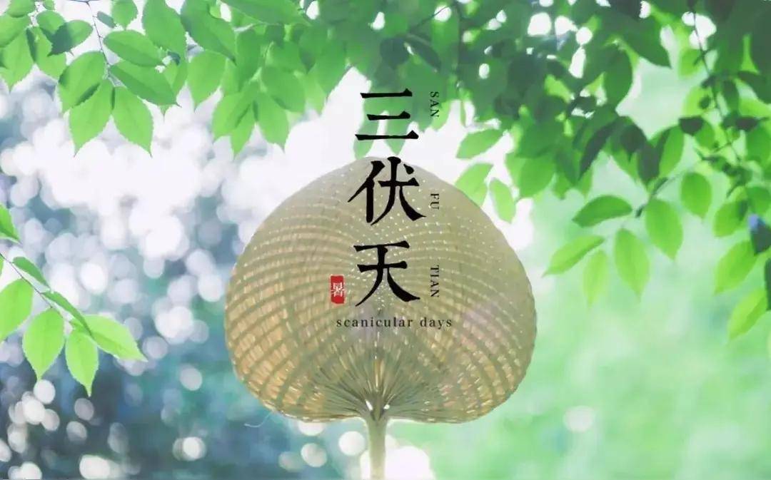 原创            2026 三伏天时间已定，遵循夏至三庚算法日常做好防暑祛湿安稳度夏