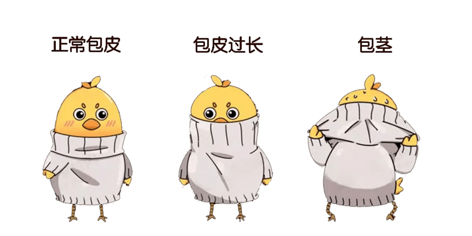 孩子包皮翻不开、红肿、排尿难？暑期正是解决“小包皮”问题的黄金期！