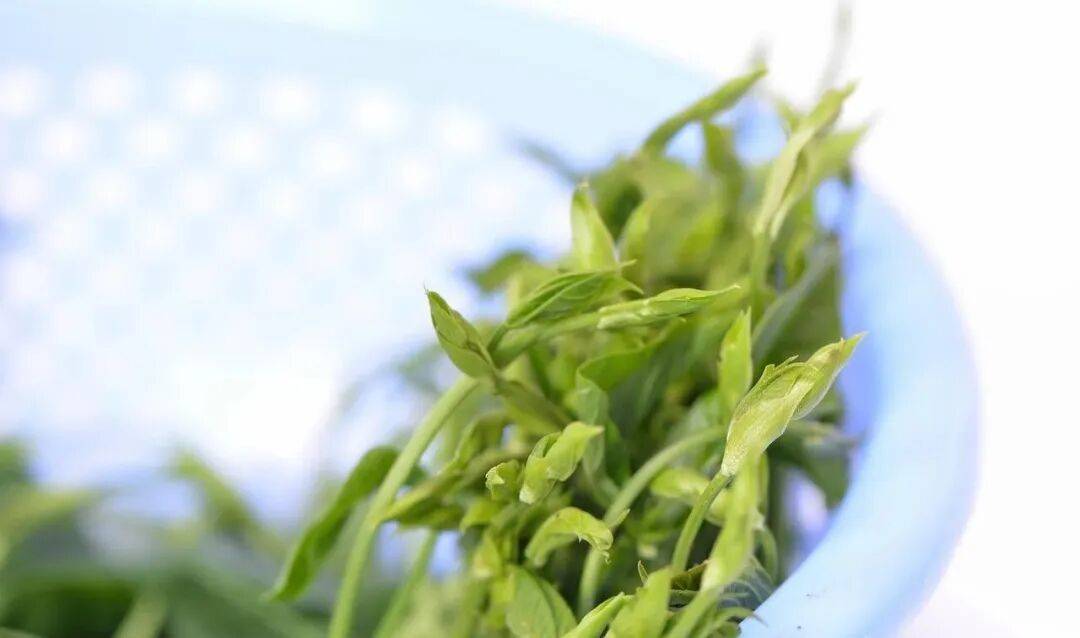 世界公认最健康的20种蔬菜：一篇收藏就够了
