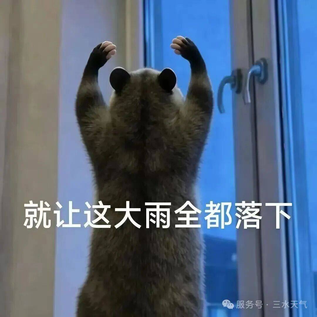 佛山“西甲”首轮开战！最新天气、观赛赛程全攻略