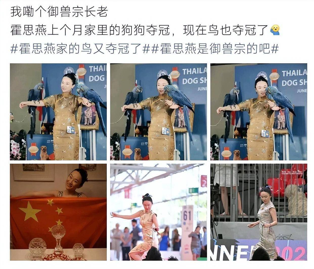 文章配图-1