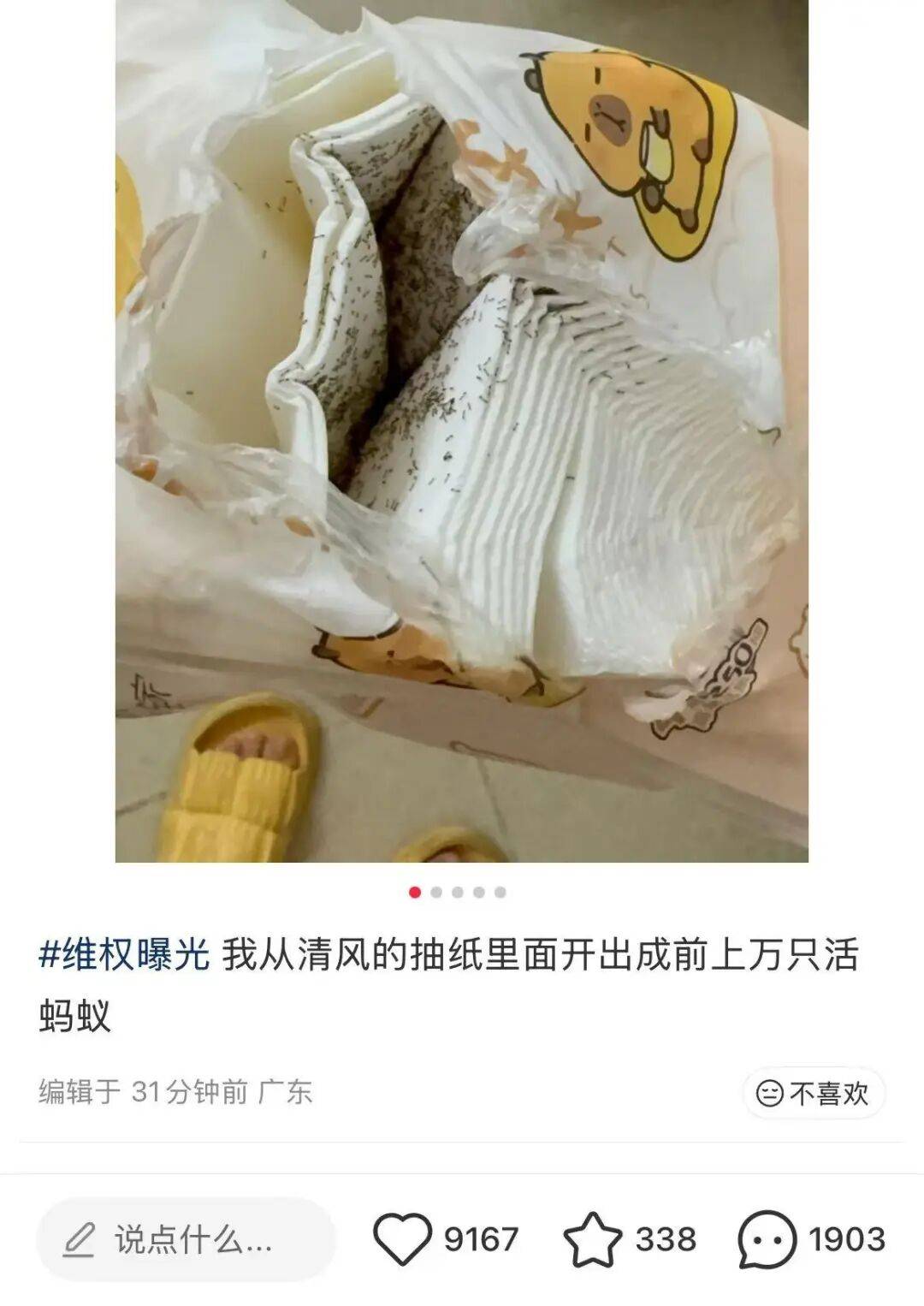 清风抽纸里惊现"千上万只活蚂蚁"引争议:多篇投诉帖子被删除(图1) 文章配图-1