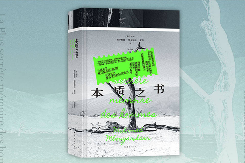 《本质之书》：一部关于“寻找”，关于“文学”的元小说 | 新书