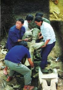 四十年，我们在三星堆“拼”什么？