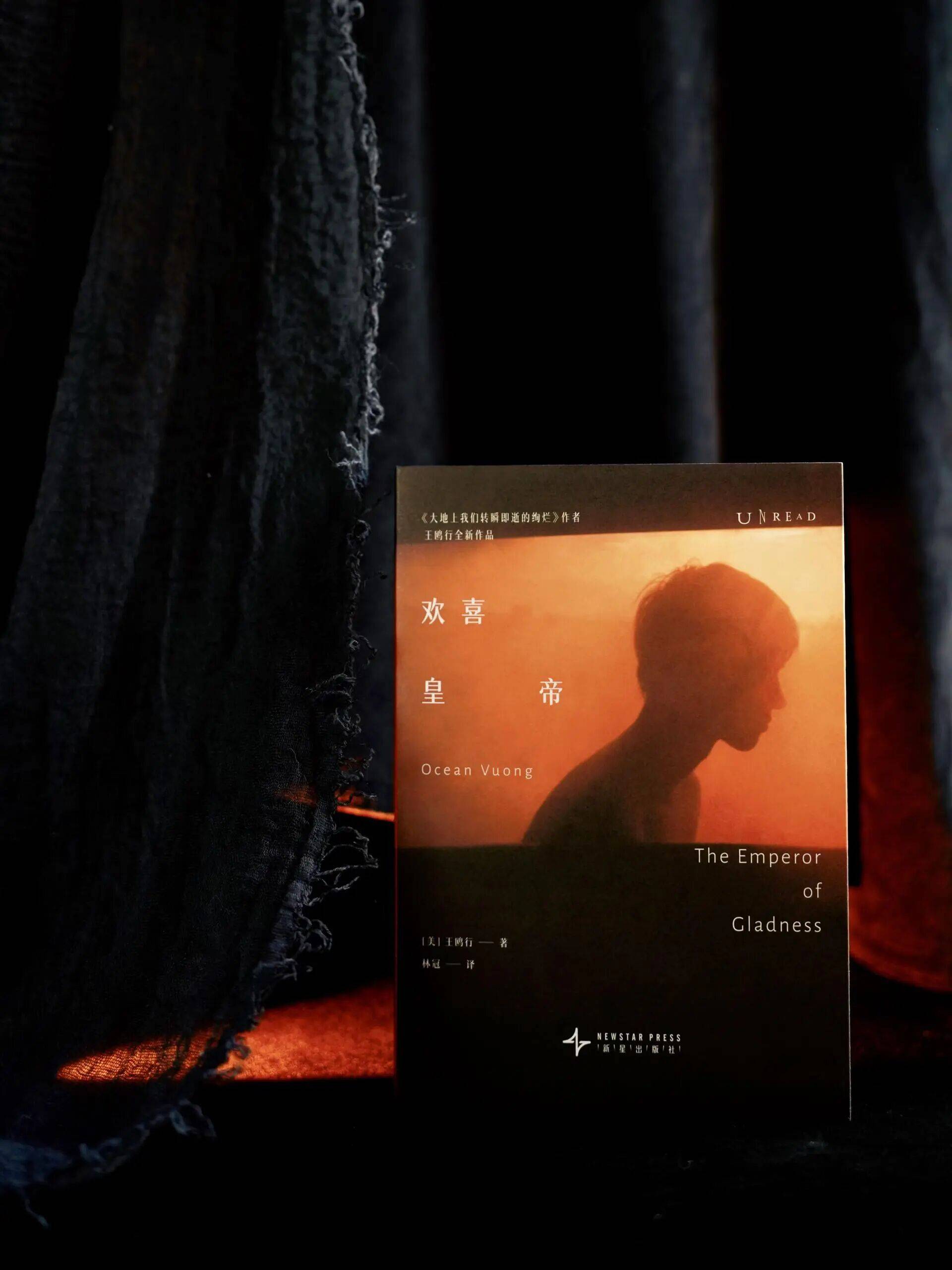 本世纪天才作家新书，预定2026年度文学！