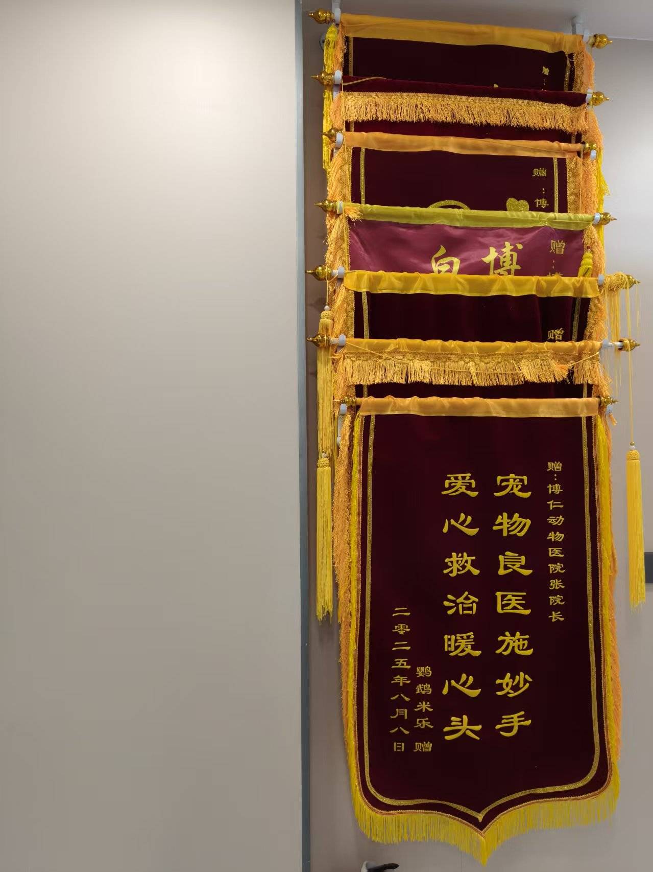 博仁动物医院净月店性价比怎么样_诊疗_服务_治疗