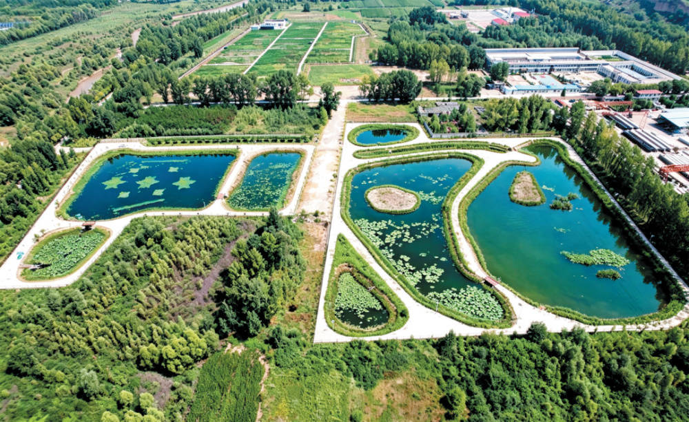 从Ⅴ类到Ⅲ类！山西静乐县尾水湿地守护汾河碧水