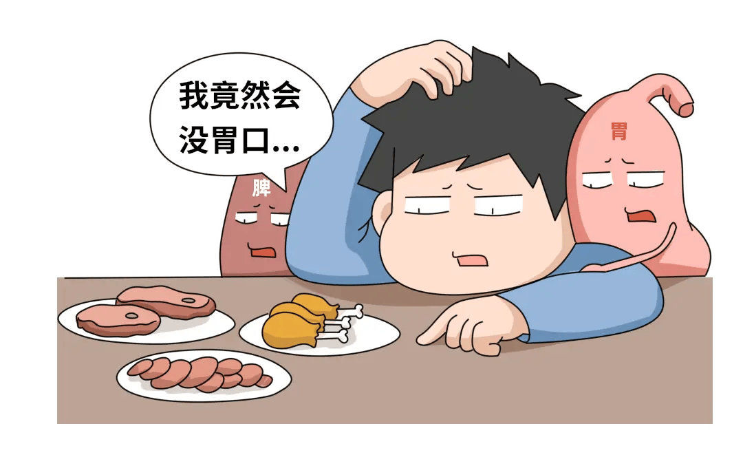 时令饮膳丨临伏末祛湿解身困，白扁豆温补固脾元