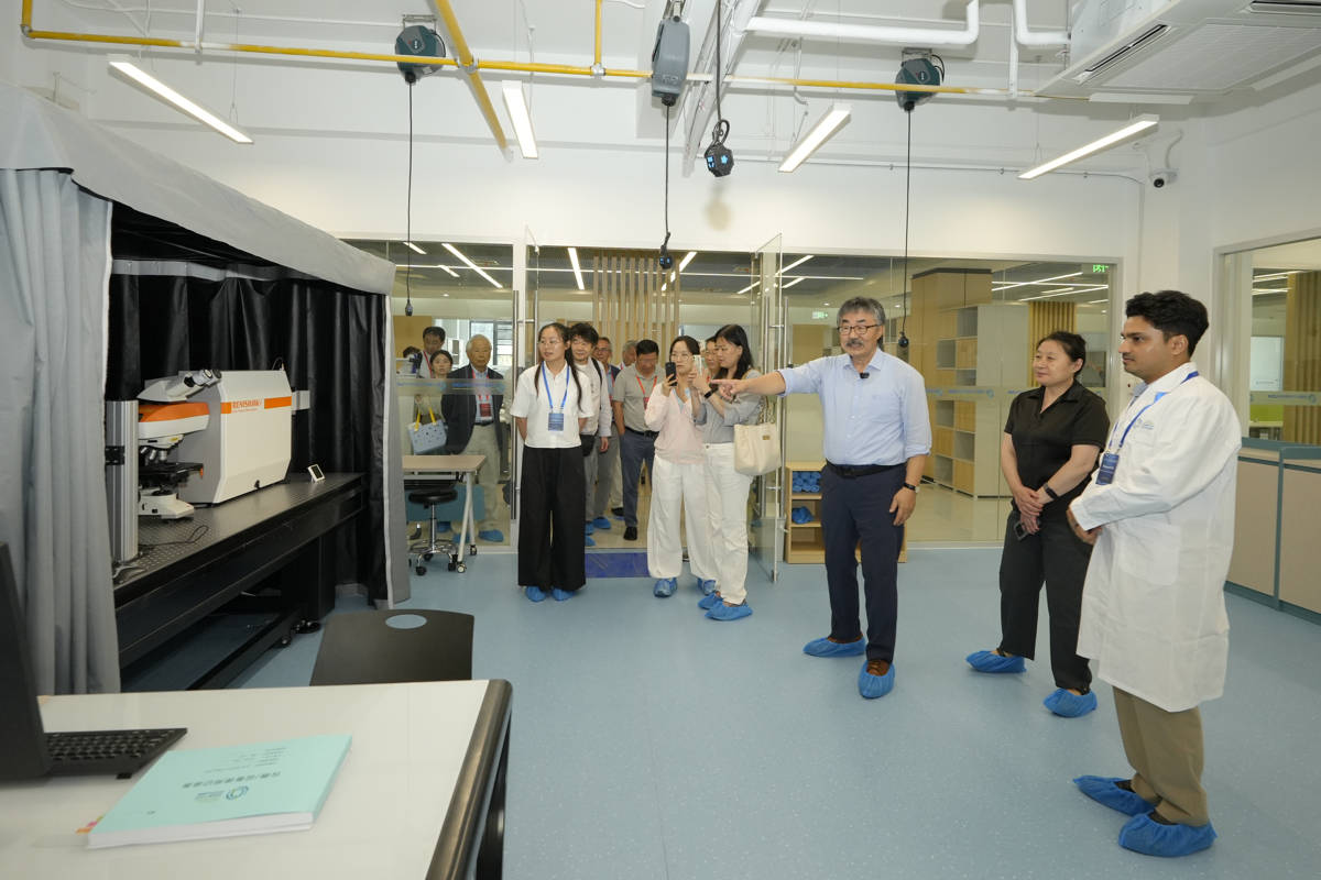 人工量子二维材料湖北省重点实验室启航，湖北“押注”量子未来