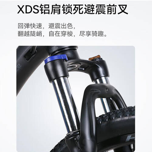 2026年山地车实测对比:喜德盛、DONK、凤凰哪款好?山地车和公路车区别一文看懂_搜狐汽车_搜狐网